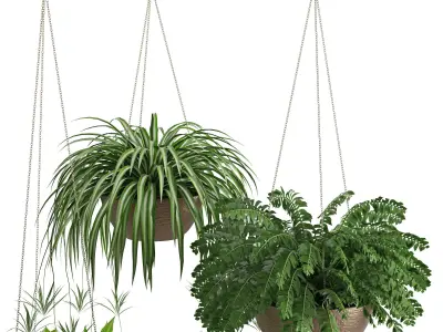 Houseplant 43 3D model
