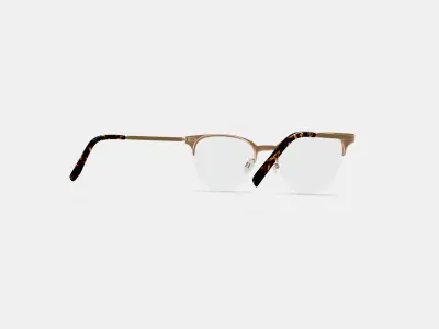 Sahana Eyeglasses in Polished Gold 3D model