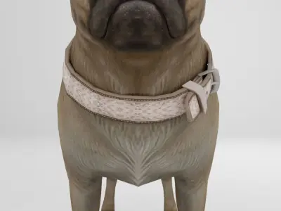 Dog Pug Pack Low-poly 3D model Low-poly 3D model