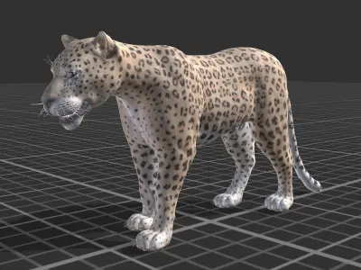 Leopard Low-poly 3D model buy