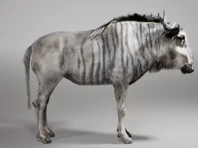 Wildebeest RIG UNREAL project  Maya base rig 3D model