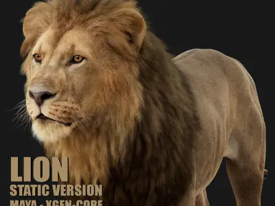Lion 2025 - static version - Xgen-Core 3D model