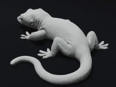 Gargoyle Gecko Pet Reptile 3D Print Model 3D print model