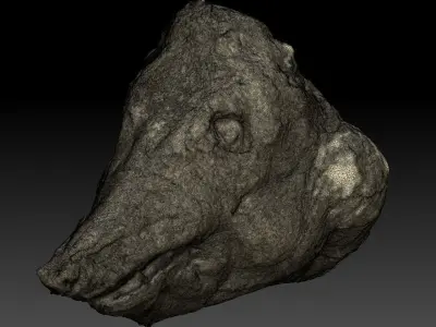 Skinned Pigs Head High Detail Scan With Texture 3D model 3D model