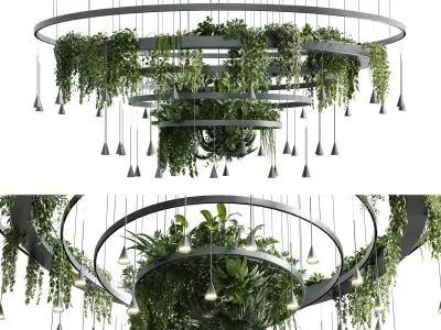 circle pot light pendant - plant light hanging 12 Low-poly 3D model