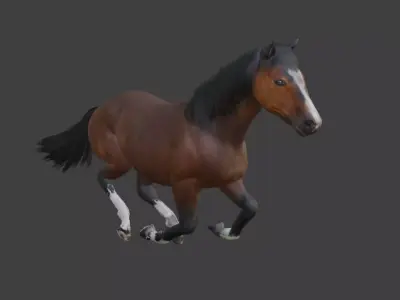 Animated Brown Horse  3D model