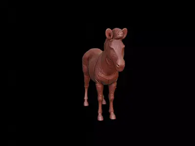 Zebra Animal Sculpture 3D print model get