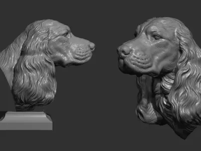 English Cocker Spaniel bust 3D print model