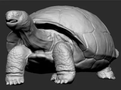 Galapagos Tortoise Sculpt 3D model