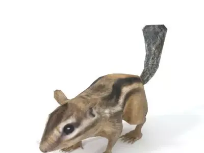 Chipmunk Low-poly 3D model