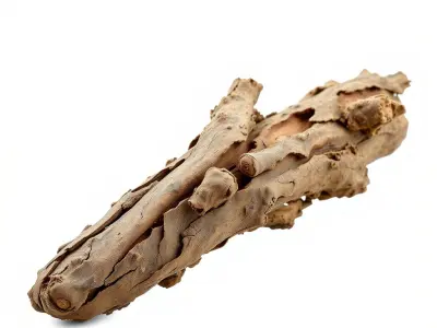 Realistic Driftwood Model Pack for Environment Rendering Low-poly 3D model