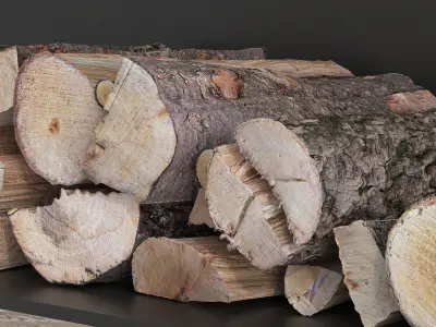 Decorative wall with fireplace set 16 3D model