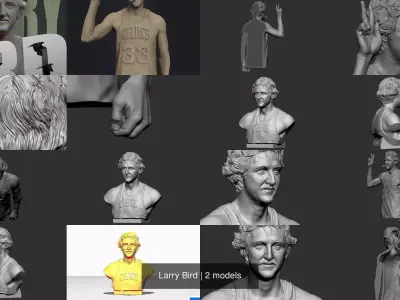 Larry Bird 3D Model Pack