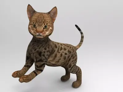 Cute Cat Rigged Low-poly 3D model