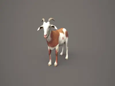 Dairy Brown Goat 3D model