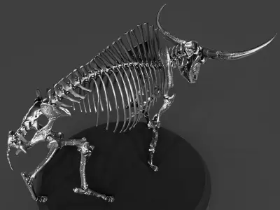 Silver Bison Latifrons Skeleton 3D model
