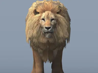 Lowpoly Male Lion Rigged and Animated for VR AR Games Low-poly 3D model