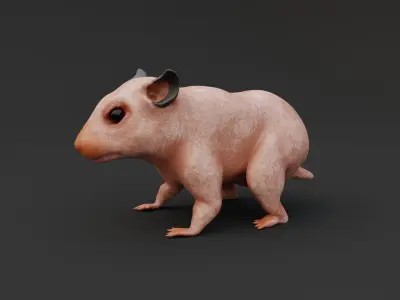 Realistic Hamster Low-poly 3D model