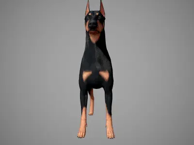 Doberman Real-Time Low-poly 3D model