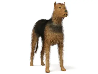 Street Dog 3D model