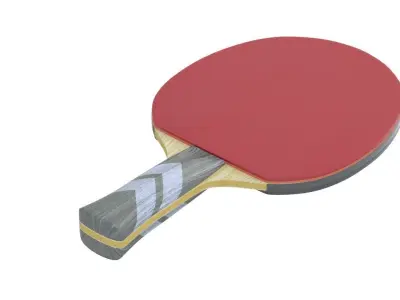 Ping Pong Paddle 3D model