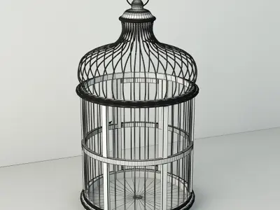 Belen Decorative Cage by ZARA HOME 3D model