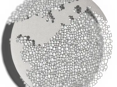 Coral Wall Sculpture 3D model