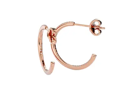 Women earrings model 3D print model