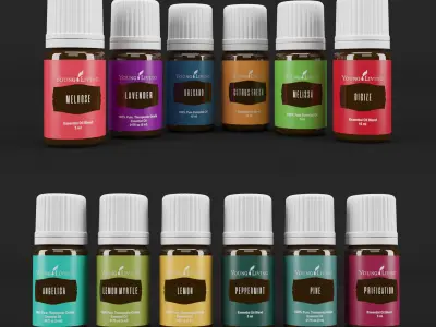 Dewdrop Diffuser and Oils Young Living 3D model