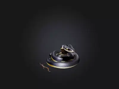 Snake Low-poly 3D model purchase