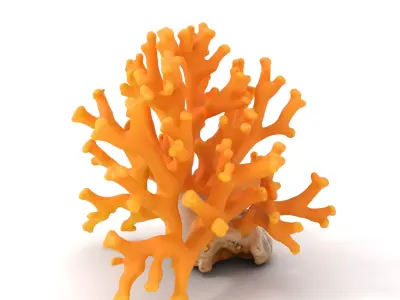 Golden Coral Reef model pack Low-poly 3D model