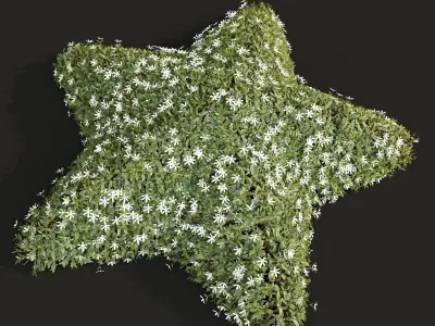 New Plant Cuphea Hookeriana Carthagenensis Decorative01 3D model