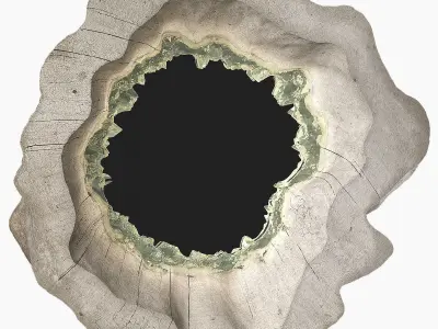 Mirror natural wood by Arango 3D model