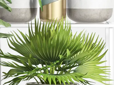 Decorative plant set-53 3D model