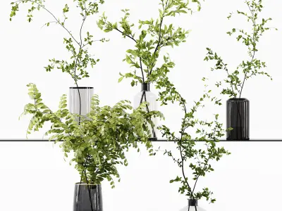 Collection Indoor Plant 01 3D Model Pack