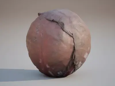 Low Poly of Red cabbage 3d model Game ready Low-poly 3D model