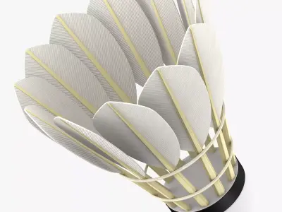 Shuttlecock 3D model