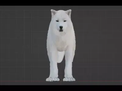 Arctic Wolf Low-poly 3D model