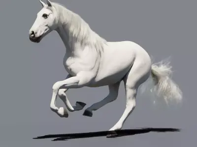 White Horse Animated 3D model