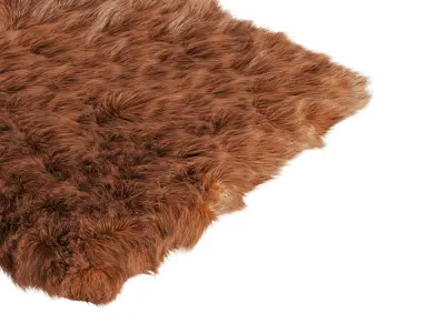 Small Rectangular Fluffy Rug 3D model