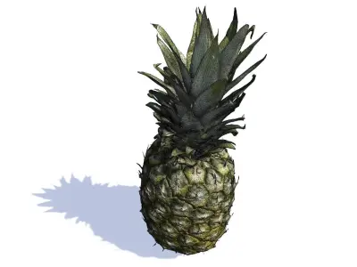 Pineapple photogrammetry scan  3D model