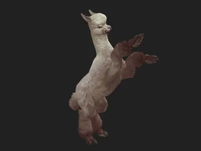 animated alpaca Low-poly 3D model