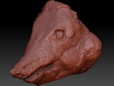 Skinned Pigs Head High Detail Scan With Texture 3D model 3D model