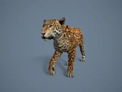 Jaguar Low-poly 3D model