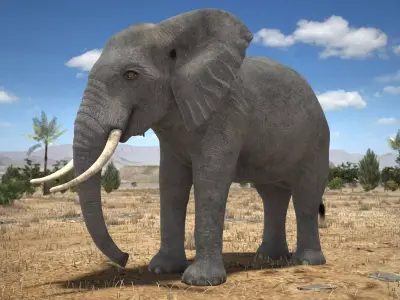 African Elephant Rigged for 3dsmax 3D model