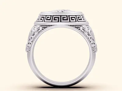 Indian man ring silver gold  printable jewelry 3D model 3D print model