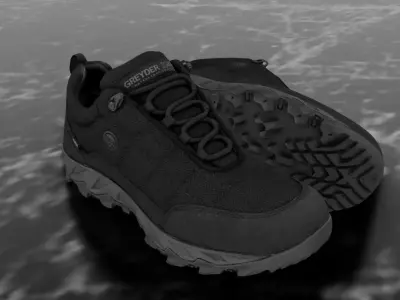 GREYDER X PRO - 3D SHOES Low-poly 3D model