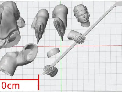 Hockey Player pose Connor Bedard inspired Chicago blackhawks 3D print model