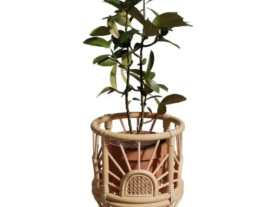 Faiths Sunrise Planter 3D model