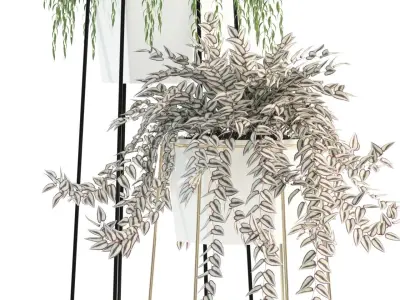 Plants collection 88 3D model